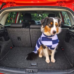 Hundebademantel aus Frottee