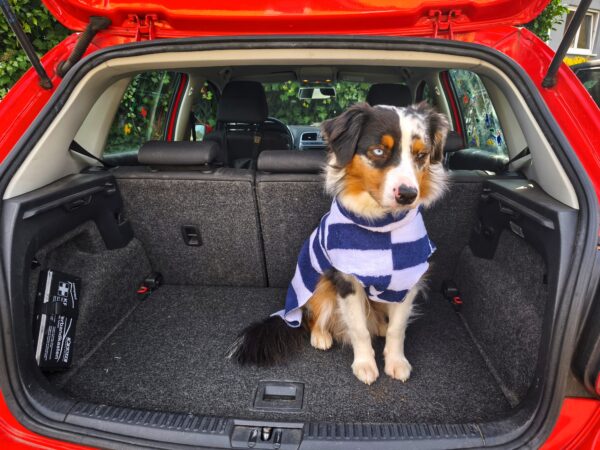 Hundebademantel aus Frottee