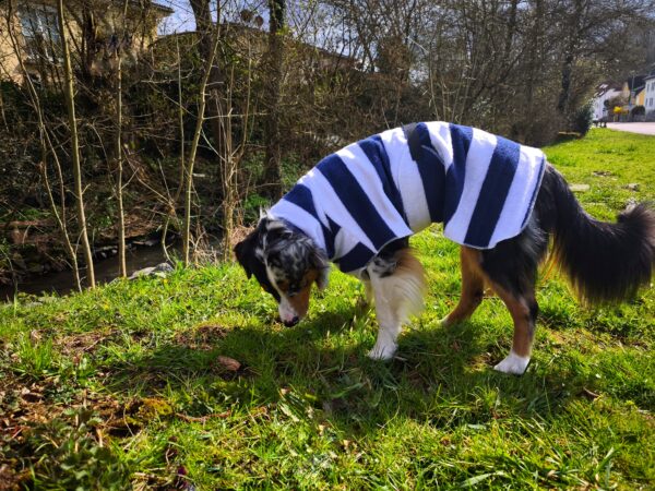 Hundebademantel aus Frottee – Bild 3
